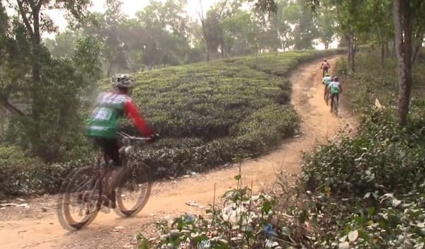 পর্যটনকে উৎসাহিত করতে সাইক্লিং