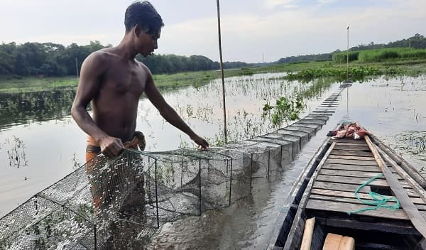 জেলেদের হাতে চায়না জাল, মাছশূন্য হয়ে পড়ছে নদ-নদী