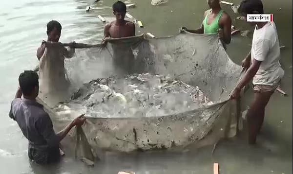 পুকুরে মাছ আর পাড়ের জমিতে সবজি চাষ