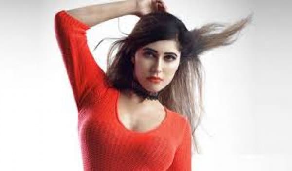 'নির্যাতন ও হয়রানির শিকার মডেল ও অভিনেত্রী নায়লা নাঈম'