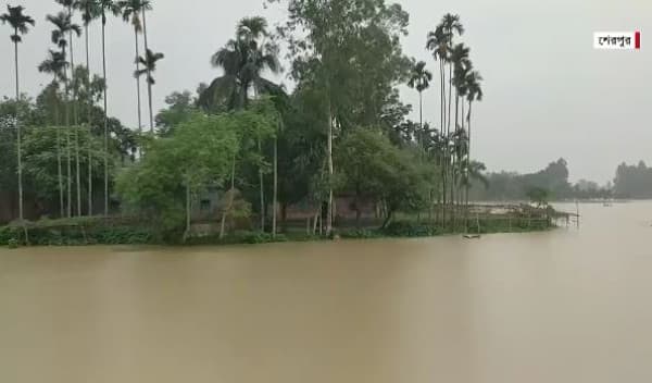 শেরপুরে বন্যা পরিস্থিতির আবারও অবনতির আশঙ্কা