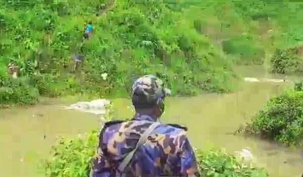 টেকনাফের পাহাড়ি ছড়া থেকে বন্য হাতির মরদেহ উদ্ধার