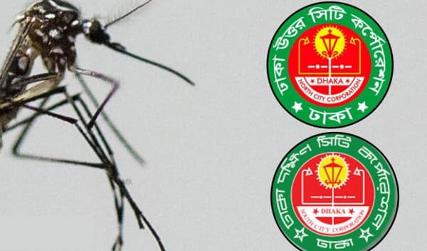 দিনে-রাতে মশার উৎপাতে অতিষ্ট রাজধানীবাসী