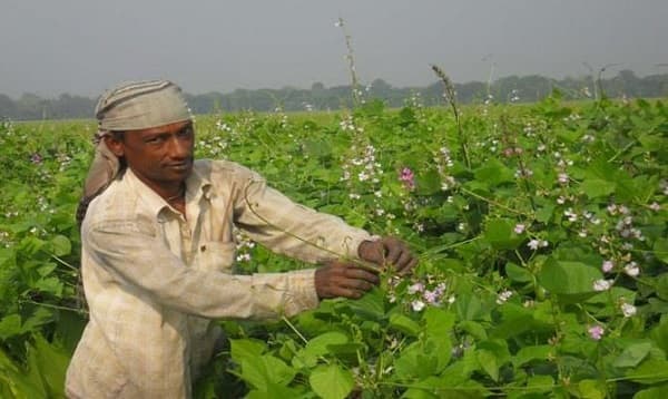 শীতকালীন সবজি চাষে কৃষকদের ভাগ্য বদল