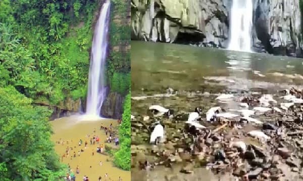 মাধবকুণ্ডের পানিতে ভাসছে মরা মাছ, বাতাসে দুর্গন্ধ