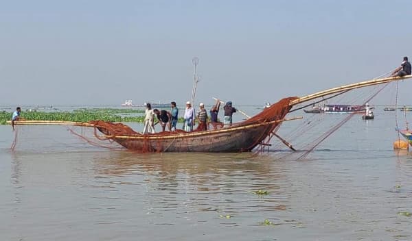 নিষেধাজ্ঞা শেষে আশানুরূপ ইলিশ পায়নি চাঁদপুরের জেলেরা
