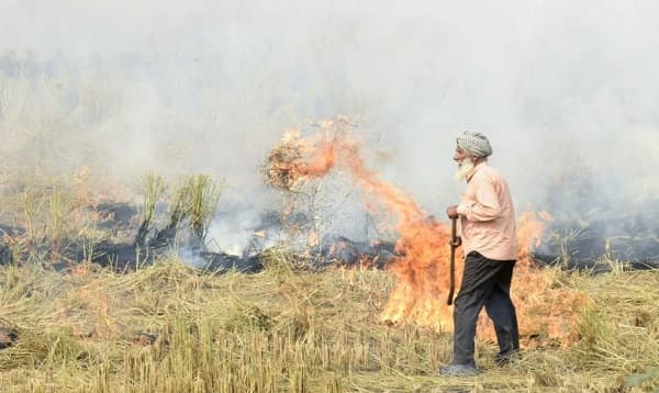 দূষণের জেরে ভারতে ৮৪ কৃষক গ্রেপ্তার