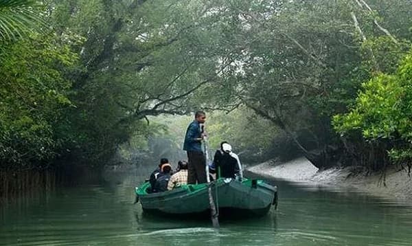 সুন্দরবনে পর্যটক প্রবেশে বন বিভাগের নিষেধাজ্ঞা