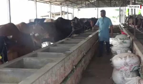 গরু-মহিষের খামার গড়ে সফল কিশোরগঞ্জের এরশাদউদ্দিন