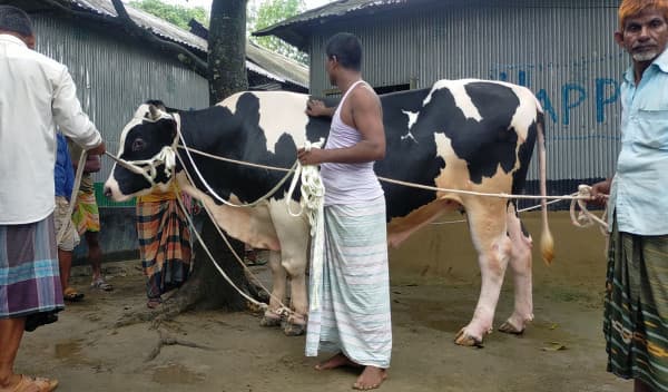 আরএমটিপি বাদশাকে কিনলে পালসার মোটর সাইকেল উপহার