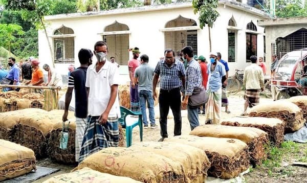 স্বাস্থ্যবিধি না মেনে তামাক কেনার অভিযোগ ট্যোবাকো কোম্পানির বিরুদ্ধে