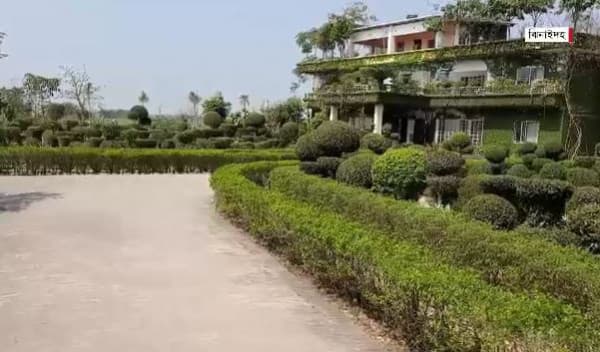 ঝিনাইদহের লক্ষ্মণদিয়া গ্রামে দৃষ্টিনন্দন ‌'গাছবাড়ি'