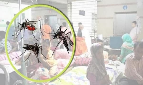 রাজবাড়ীতে বাড়ছে মশার উপদ্রব, জনমনে ডেঙ্গু আতঙ্ক