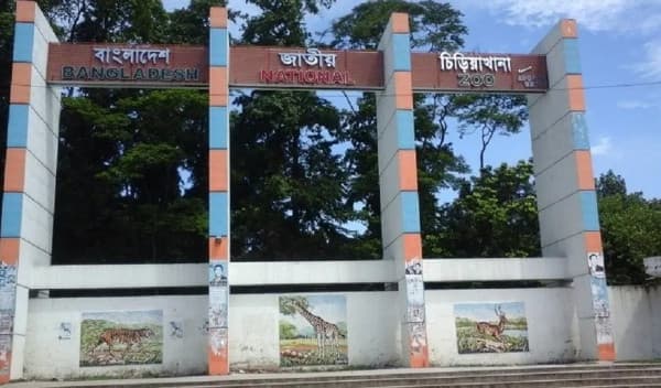 স্বাস্থ্যবিধি মানার শর্তে জাতীয় চিড়িয়াখানা খুলছে আজ