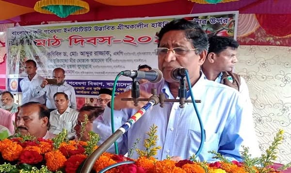 ক্যাসিনো ছেড়ে টমেটো চাষ করুন: কৃষিমন্ত্রী