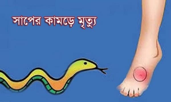 মানিকগঞ্জে সাপের কামড়ে দুই শিক্ষার্থীর মৃত্যু
