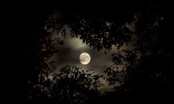 বছরের দীর্ঘতম রাত আজ
