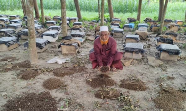 রাজবাড়ীতে পুলিশ ট্রাক আটকে রাখায় গরমে মারা গেল ৫ লাখ টাকার মৌমাছি