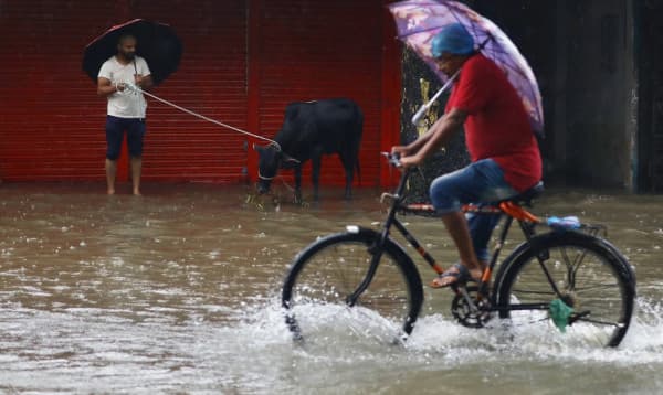 জলমগ্ন সিলেট: পশু কিনেও কোরবানি দিতে পারেনি অনেকে