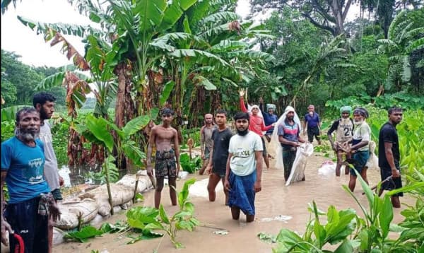 কেশবপুরে বন্যায় ভেসে গেল ৬ হাজার মাছের ঘের-পুকুর, ৫০ কোটি টাকার ক্ষতি