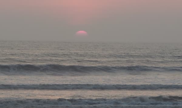 বিদায় ২০২৪, স্বাগত ২০২৫