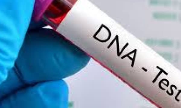 'Trial of rape case without DNA test Injudicious'