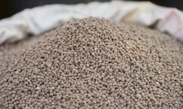 রাশিয়া-সৌদি থেকে ৪৫২ কোটি টাকার সার কিনবে সরকার