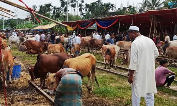 রেললাইন সংলগ্ন এলাকায় হাট বসানো যাবে না