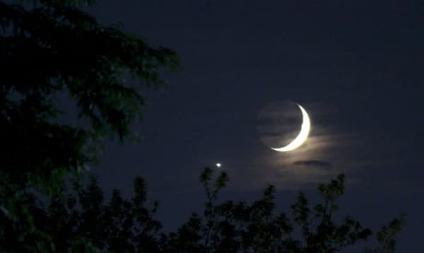 ঈদুল আজহার তারিখ ঘোষণা করল ইন্দোনেশিয়া