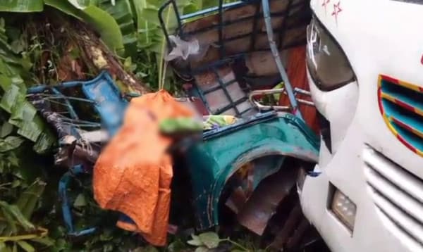 বরগুনায় দুইজনসহ পাঁচ জেলায় সড়ক দুর্ঘটনায় নিহত ৬