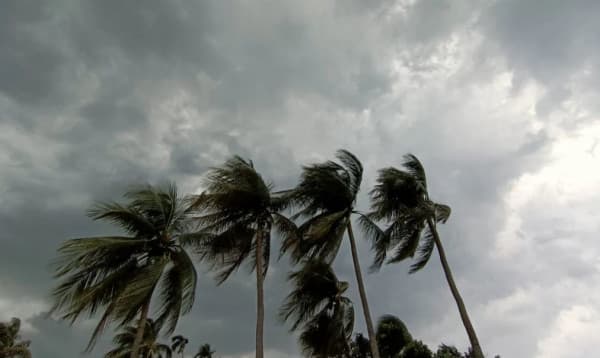 দুপুরের মধ্যে দেশের ৭ অঞ্চলে বজ্রসহ ঝড়ের পূর্বাভাস