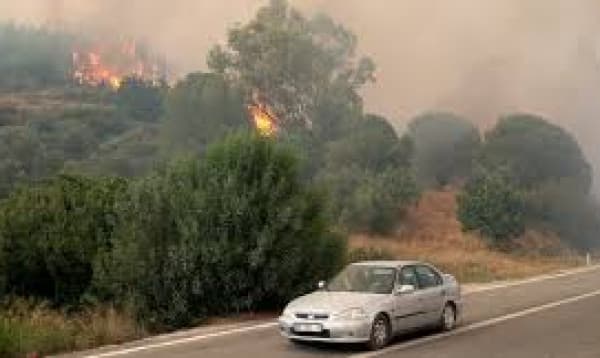 Many flee wildfires in Turkey as Europe is hit by early heat wave