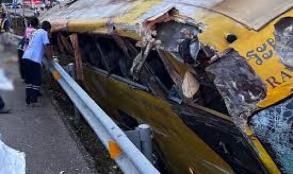 Bus driver fell asleep on Highway: Three killed