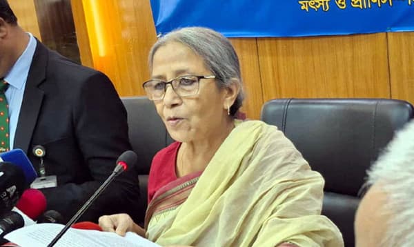 ইলিশের দাম বেশি হওয়ার কারণ চাঁদাবাজি ও কম সরবরাহ: উপদেষ্টা