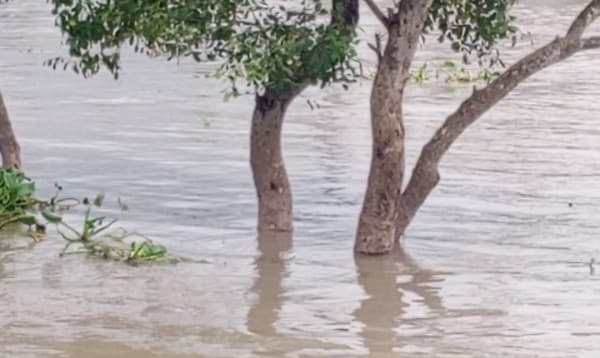 মোংলা বন্দরে ৩ নম্বর সতর্ক সংকেত