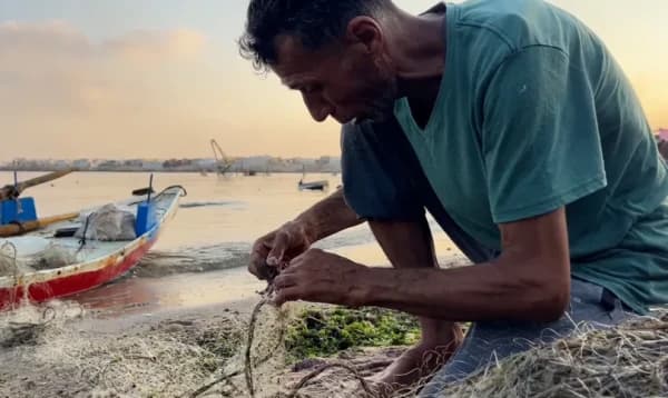 সামনে অথৈ সাগর, তবু মাছ ধরা মানা! ঝুঁকি নিয়েই সাগরে গাজার জেলেরা