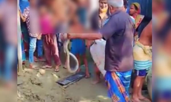 কুড়িগ্রামে সাপ ধরতে গিয়ে বিষাক্ত সাপের কামড়ে সাপুড়ের মৃত্যু