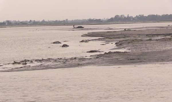 তিস্তার পানি বিপৎসীমার নিচে, নিম্নাঞ্চল থেকে নামছে বন্যার পানি