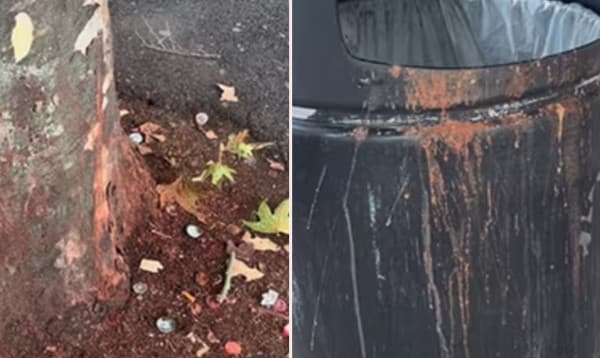 ‘নির্ঘাত ভারতীয়দের কাজ’! লন্ডনের রাস্তায় পান, গুটখার পিক দেখে ক্ষোভ ব্রিটিশদের