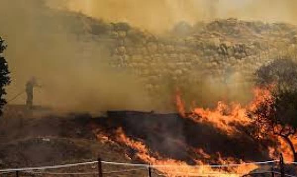 Wildfires sweep across Greece, Italy, & Spain