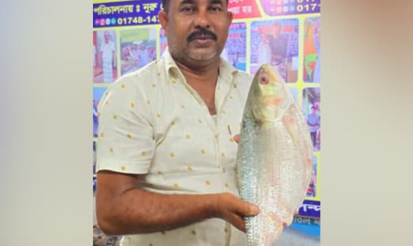 রাজবাড়ীতে আড়াই কেজি ইলিশ মাছ বিক্রি হলো প্রায় ১৪ হাজার টাকায়