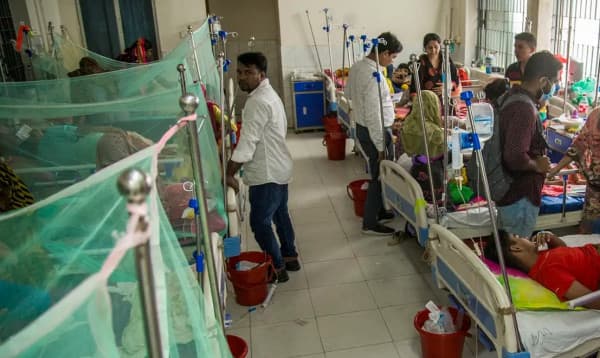 ডেঙ্গুর পর নতুন আতঙ্ক চিকুনগুনিয়া, বাড়ছে রোগী