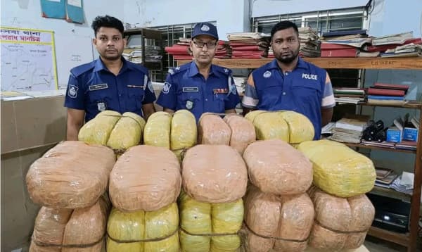 ব্রাহ্মণবাড়িয়ায় ৬৬ কেজি গাঁজাসহ পিকআপ জব্দ