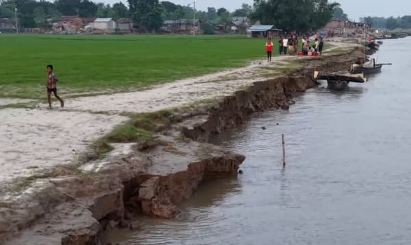 চাঁপাইনবাবগঞ্জে পদ্মার তীব্র ভাঙন, হুমকিতে শিক্ষা প্রতিষ্ঠান