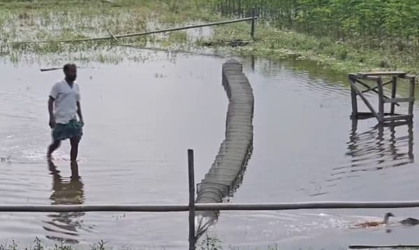 কিশোরগঞ্জের হাওরে নিষিদ্ধ 'চায়না দুয়ারি' জালে মাছ নিধন