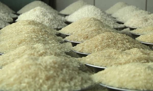 আমন ধান ৩৪ ও সিদ্ধ চাল ৫০ টাকায় কিনবে সরকার