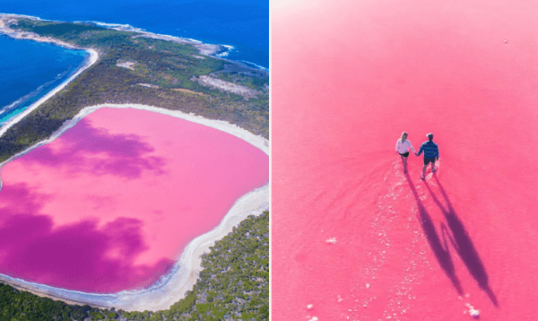 প্রকৃতির অবিশ্বাস্য খেয়াল: অস্ট্রেলিয়ার রহস্যময় ‘গোলাপি হ্রদ’