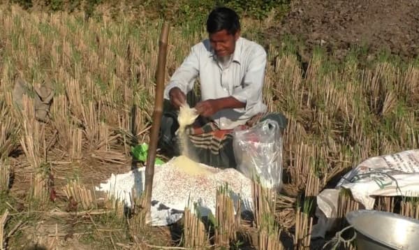 নওগাঁয় সারের কৃত্রিম সংকট, সিন্ডিকেটের কবলে কৃষক