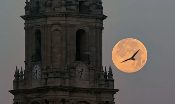 বৃহস্পতিবার দেখা যাবে বছরের শেষ সুপারমুন, চাঁদ হবে আরও উজ্জ্বল