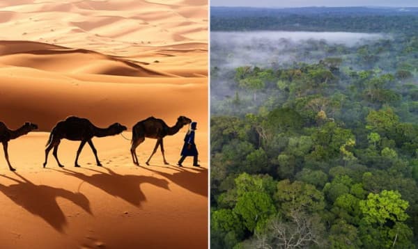 সাহারা মরুভূমি একসময় ছিল ঘন সবুজ জঙ্গল!